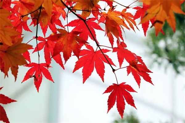 关于伤感眼泪的经典说说语录