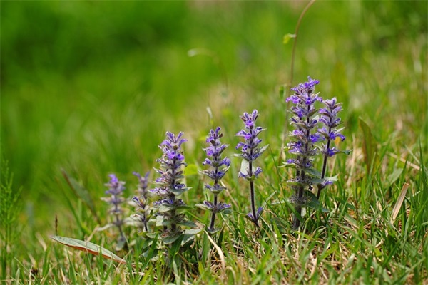 30岁人生感悟经典语录