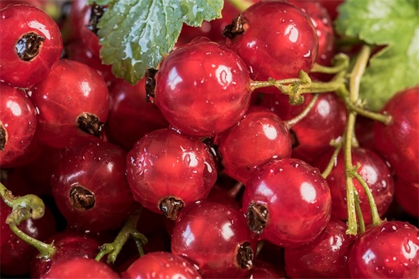 中考鼓励自己的励志语录