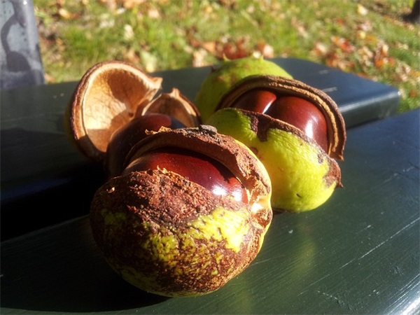 让人牵挂的伤感语录