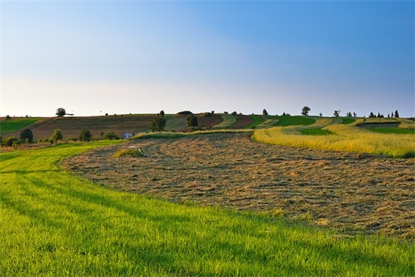 早安暖心话短句语录 早安正能量简单一句话