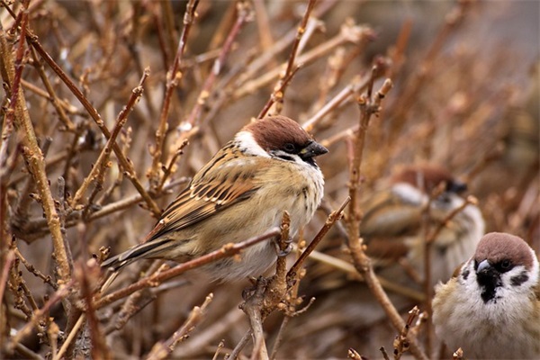 适合小朋友的励志语录