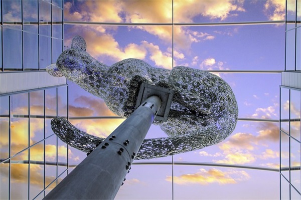 应援口号霸气押韵-50句