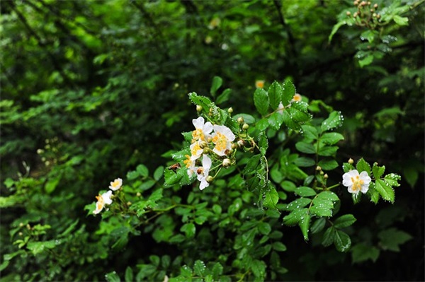 烹调班的口号-55句