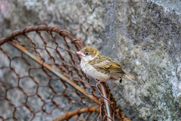 建筑公司的口号-53句