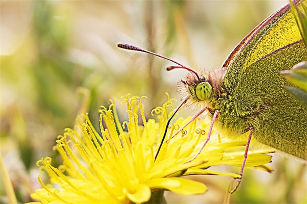 四班运动会口号-54句