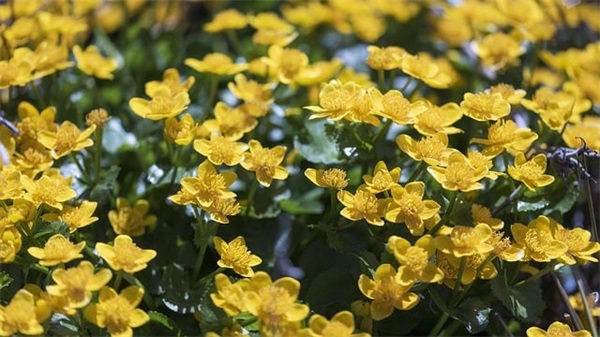 公司行政部门口号-50句