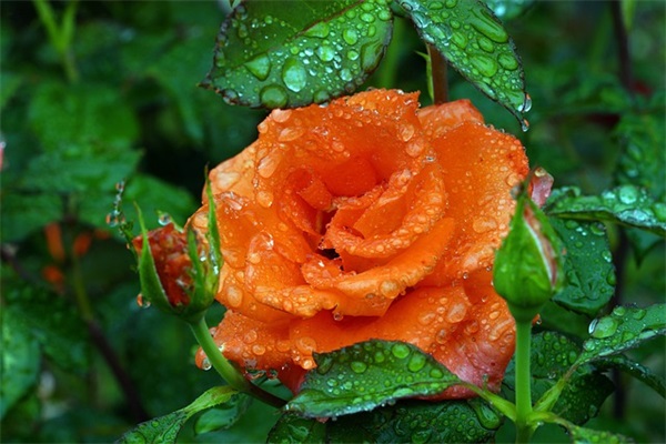 双十一口号搞笑嚣张的标语大全