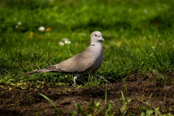 出师必胜的口号-53句