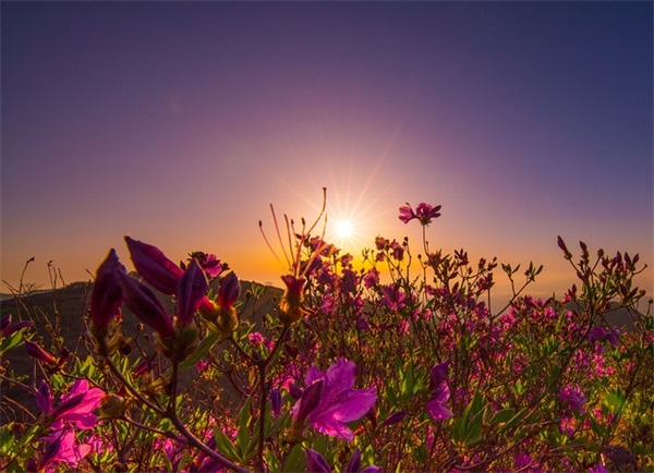 励志标语口号6字-85句