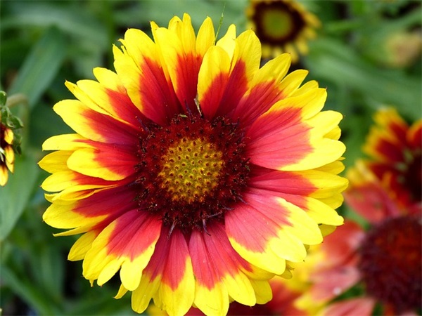 九1班班级口号-67句