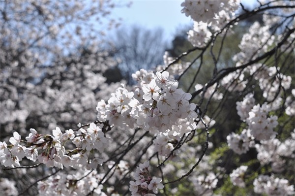 个人口号一句话-71句