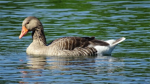 16字霸气口号-77句