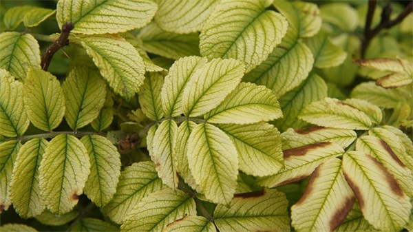 公司品牌口号 【100句精选】