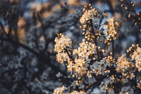 11班班级口号-93句