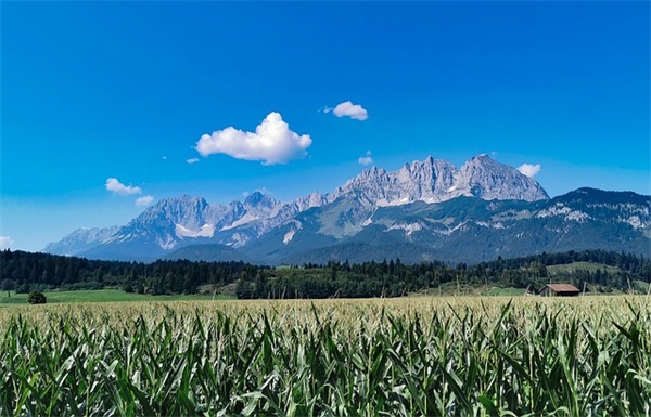 百日祝福语-53句