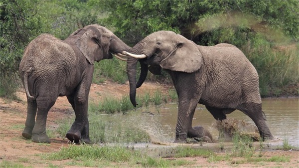兄弟生日祝福语大全-56句