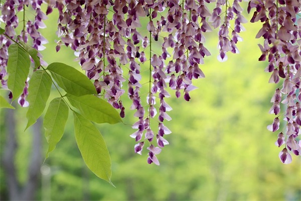 年终祝福语大全简短-54句