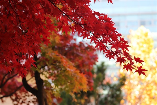 迷茫失落的伤感语录