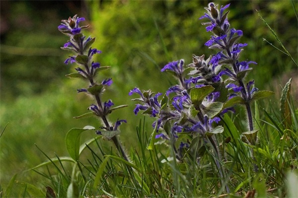 韩寒关于爱情经典语录