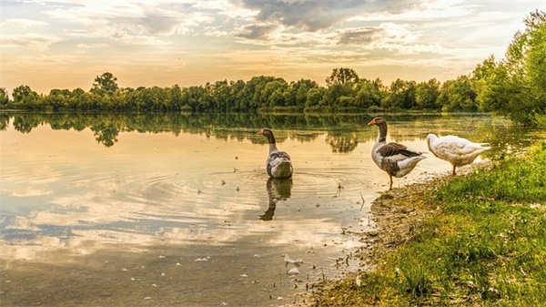 结婚后的女性伤感语录 结婚感言语录