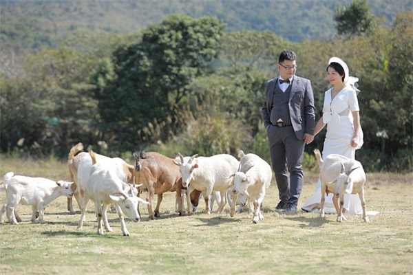 最新动漫经典语录伤感台词