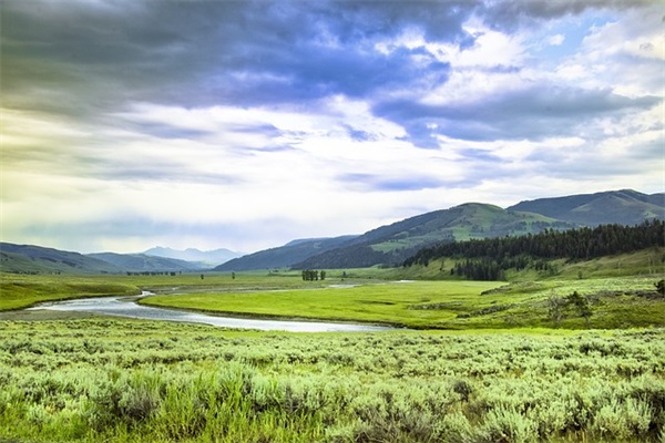 2026年最潮语录119句