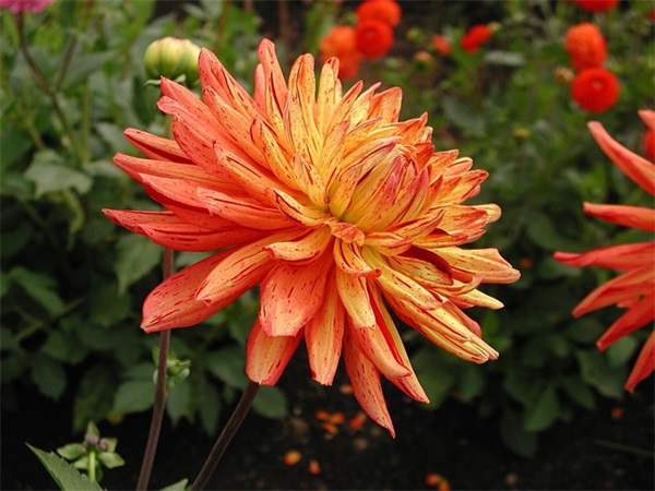 每日人生箴言励志语录