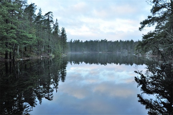 经典文案语录(女生对自己说的励志文案语录)