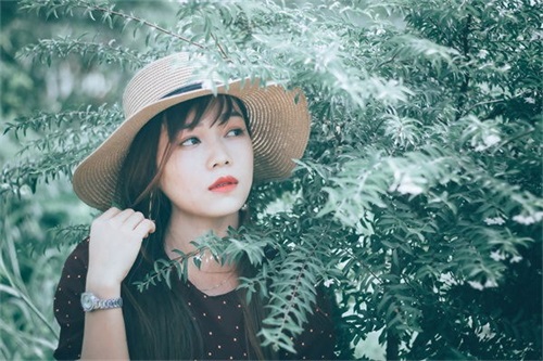红楼梦经典语录摘抄通用