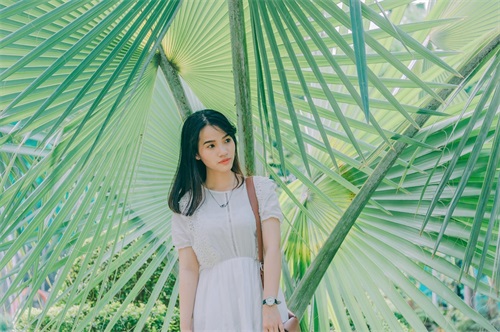 夏至未至经典句子语录(精选69句)